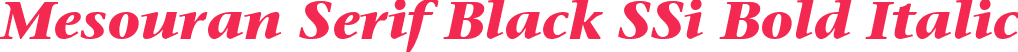 Mesouran Serif Black SSi Bold Italic